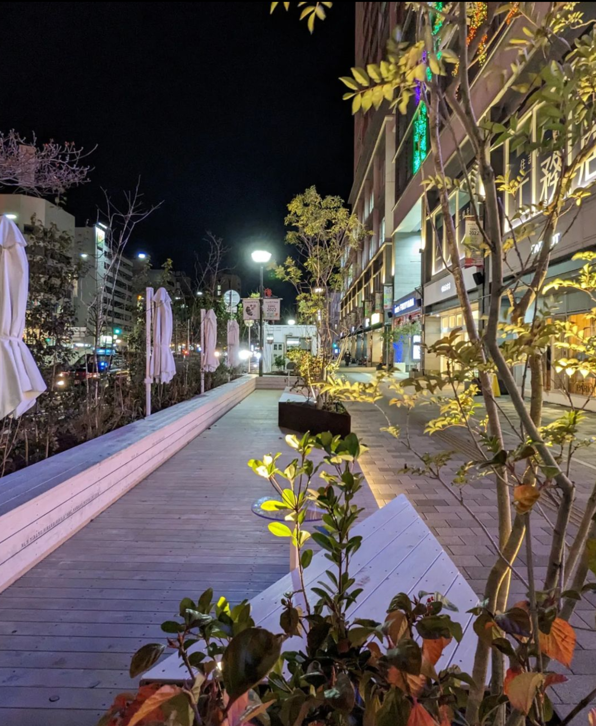 福山駅前 歩道空間木質化プロジェクト　夜の景色